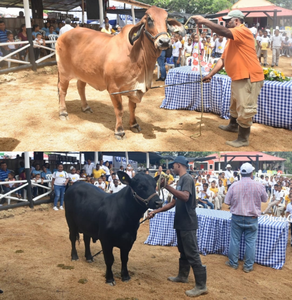 Concluyó con rotundo éxito la tradicional Feria Ganadera y Comercial El Cupey 2019