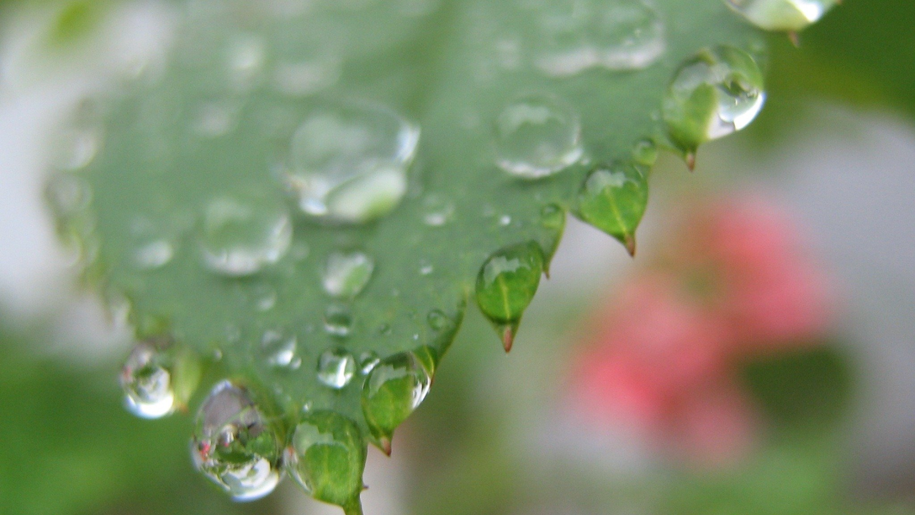     Anuncian lluvias y temperaturas frías durante todo el fin de semana en Puerto Plata y gran parte del país